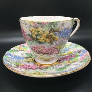 Shelley Ripon Shape ROCK GARDEN Chintz Teacup Cup Saucer Gold Trim Footed 14267